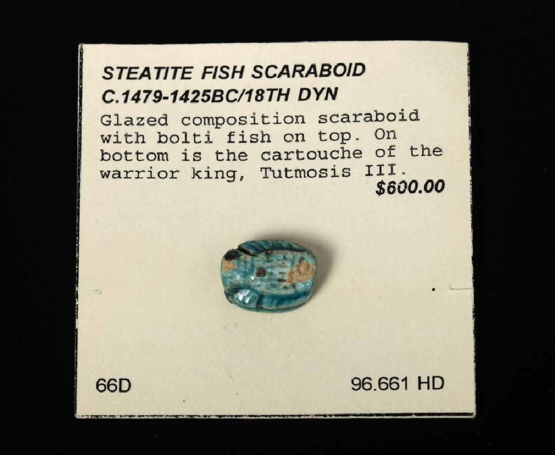 Rare Egyptian Steatite Fish Scaraboid - ex Philip Mitry (1 of 2)