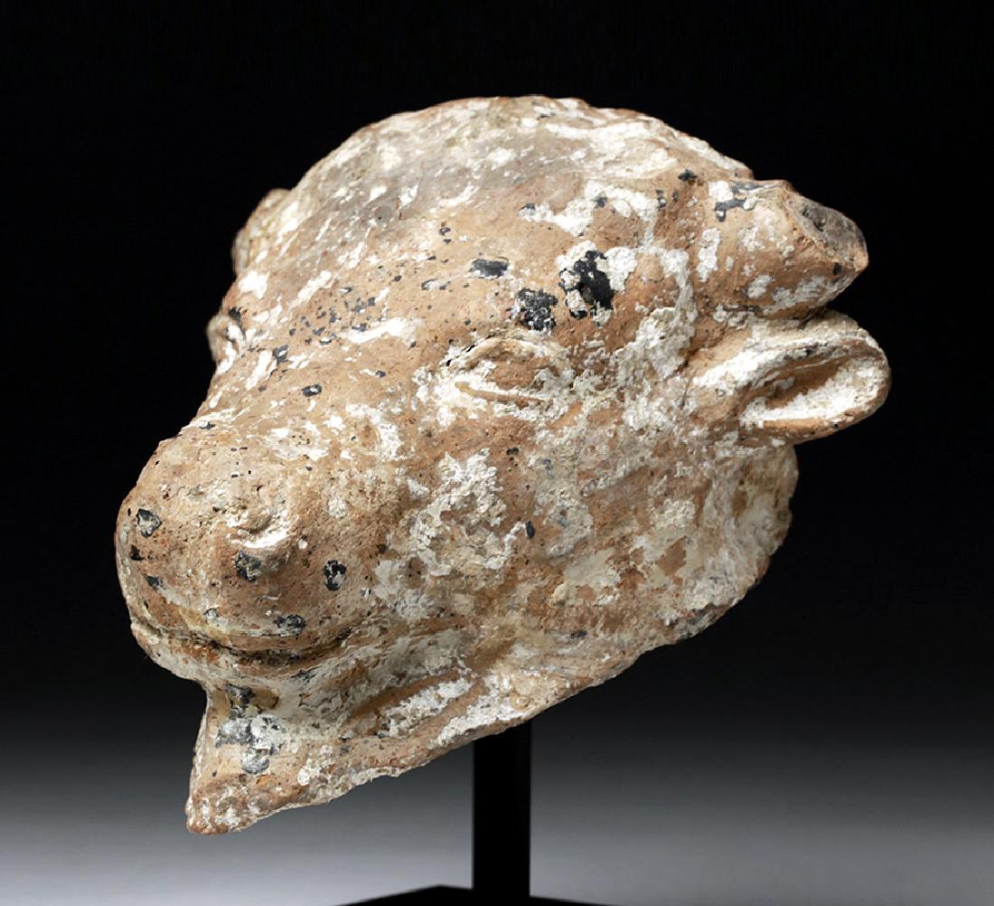 Hellenistic Greek Pottery Votive - Bull (1 of 5)