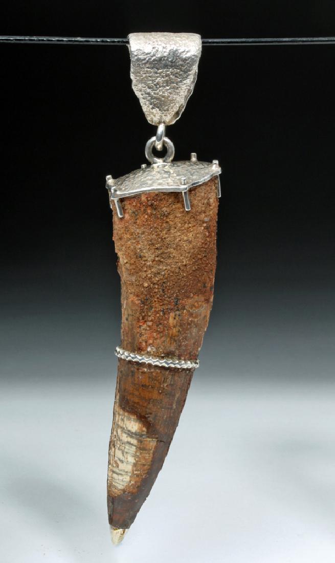 Large Spinosaurus Tooth w/ Silver Pendant: Northern Africa, Morocco, early Cretaceous, ca. 112 to 97 million years ago. A fantastic Spinosaurus (Spinosaurus aegyptiacus) tooth that has been given a modern silver tip, silver ring around its cen