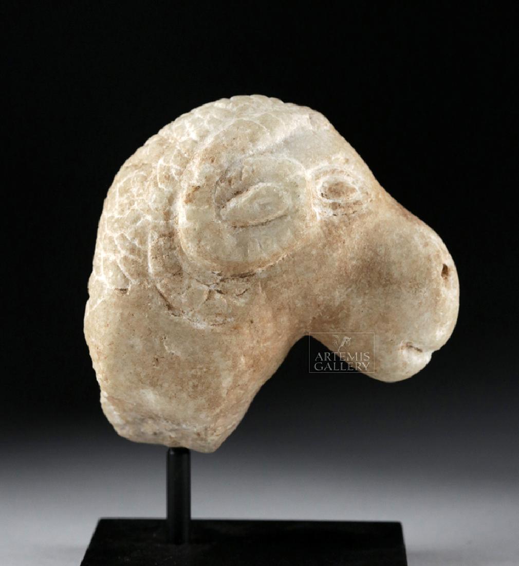 Attractive South Arabian Marble Head of a Ram (1 of 6)