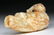 Chinese Ming Dynasty Jade Bird Finial - 2