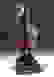 item-62198350=1