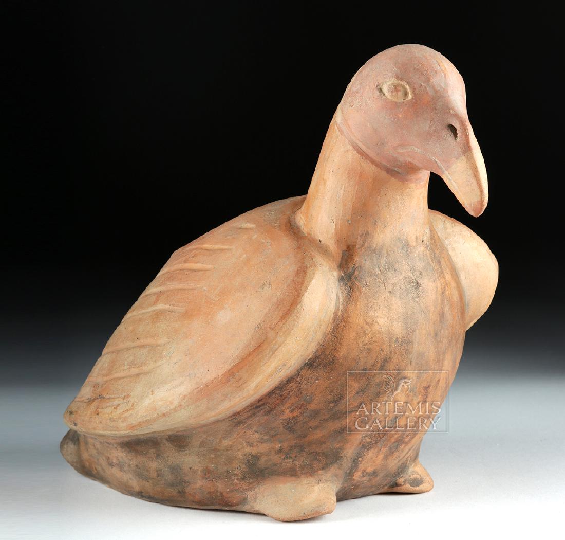 Moche Pottery Vessel - Seated Condor / Bird (1 of 6)