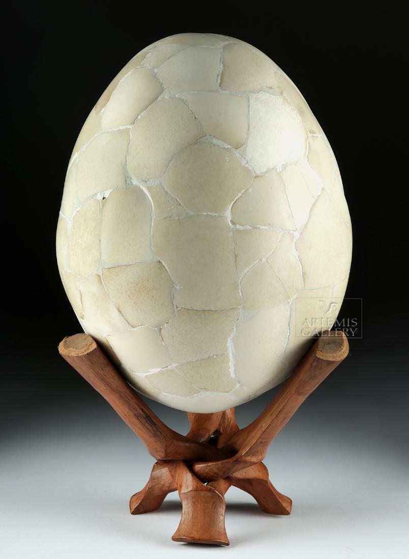 16th C. Elephant Bird Egg from Madagascar (1 of 4)