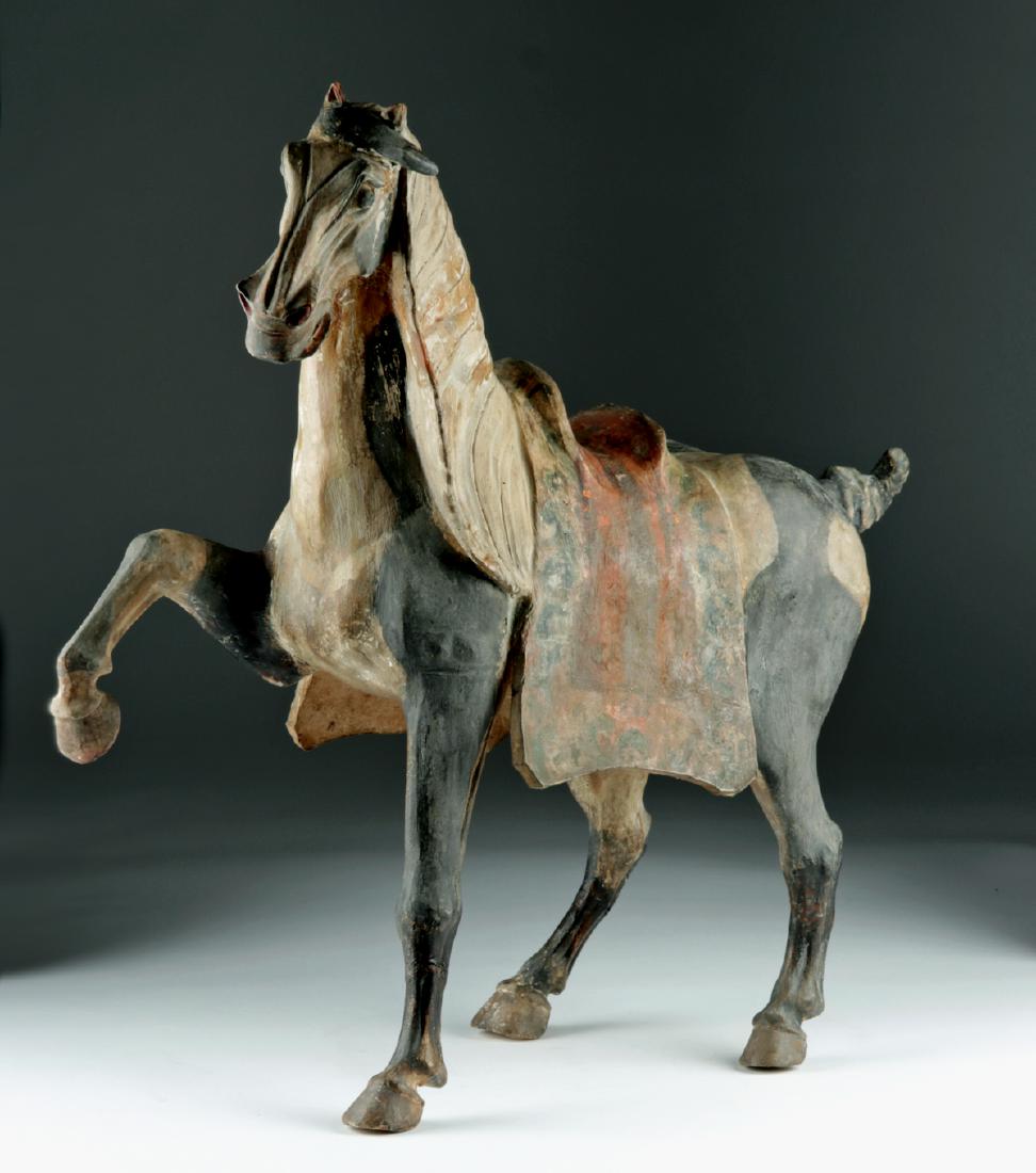 Chinese Tang Dyn Pottery Horse w/ TL, ex-Sotheby's (1 of 5)