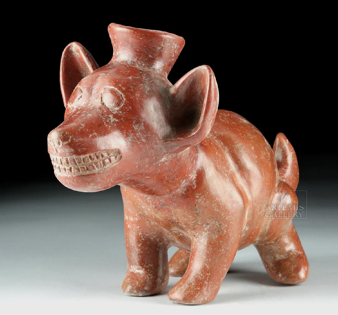 Adorable Colima Redware Dog Vessel - Gnashing Teeth: Pre-Columbian, West Mexico, Colima, Protoclassic Period, ca. 100 BCE to 250 CE. An amusing canine effigy vessel, highly-burnished and finely sculpted from lustrous redware. The dog's rotund body stand