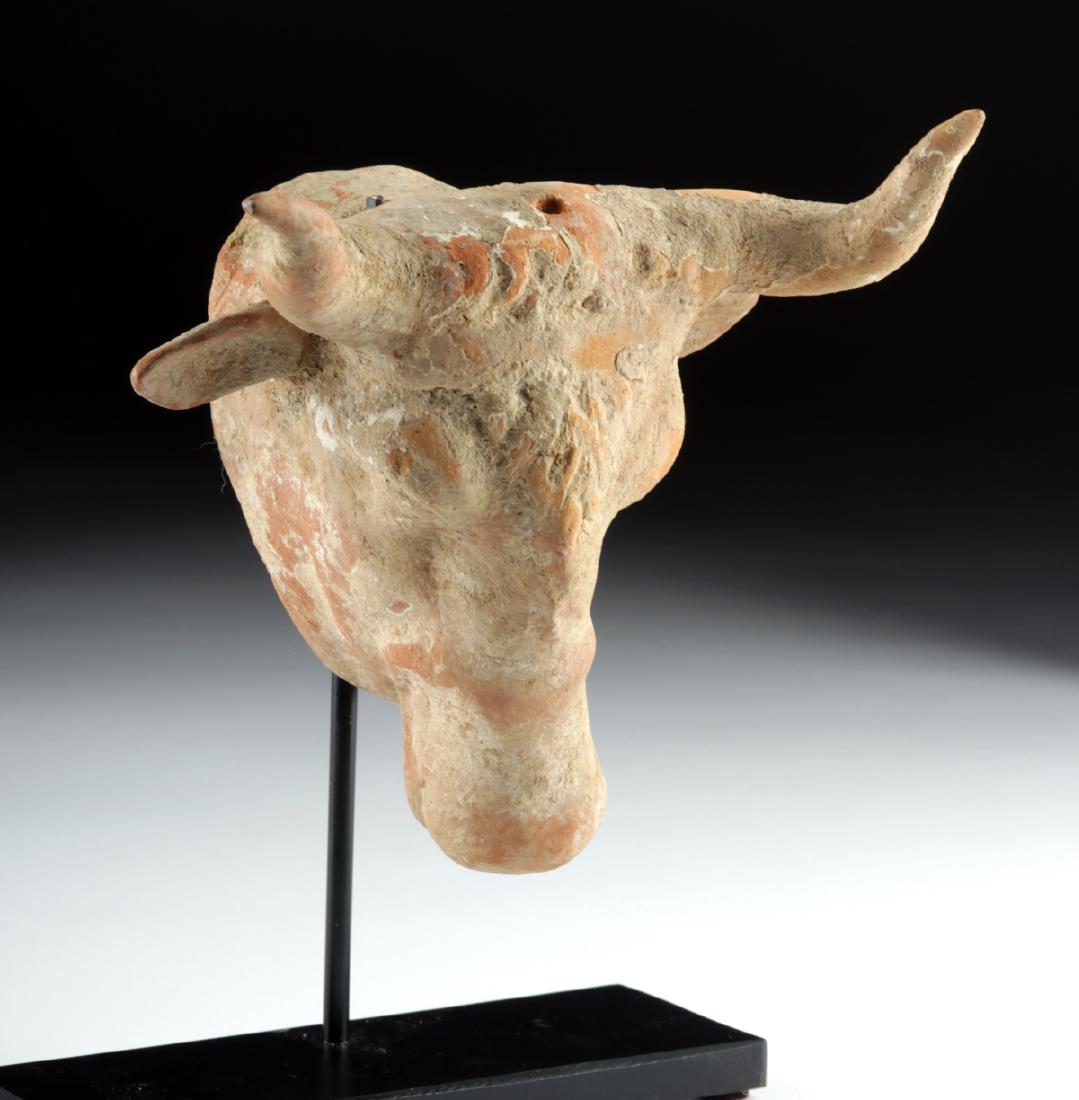 Roman Terracotta Bull Protome (1 of 4)