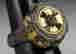 item-66775866=4