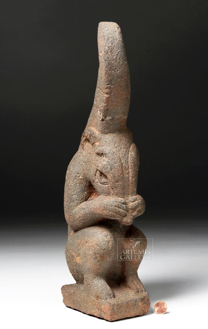 Mayan Stone Coatimundi / Von Winning Papered (1 of 5)