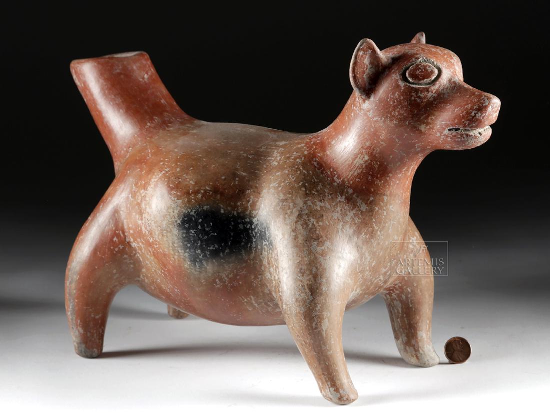 Huge Colima Redware Dog Effigy Vessel: Pre-Columbian, West Mexico, Colima, Protoclassic Period, ca. 100 BCE to 250 CE. A charming, hand-built redware pottery effigy vessel depicting a rotund dog standing atop four attenuated, nubbin-tipped