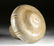 20th C. Shipibo Polychrome Vessel - 6