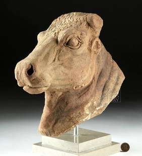 Large Romano-Egyptian Sandstone Head of a Bull: Egypt, Romano-Egyptian, ca. 1st century BCE to 1st century CE. A very large head of a bull - perhaps a reference to the sacred bull Apis - carved from a single piece of red sandstone, its visage