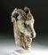 Incredible Roman Marble Goat Head - 2