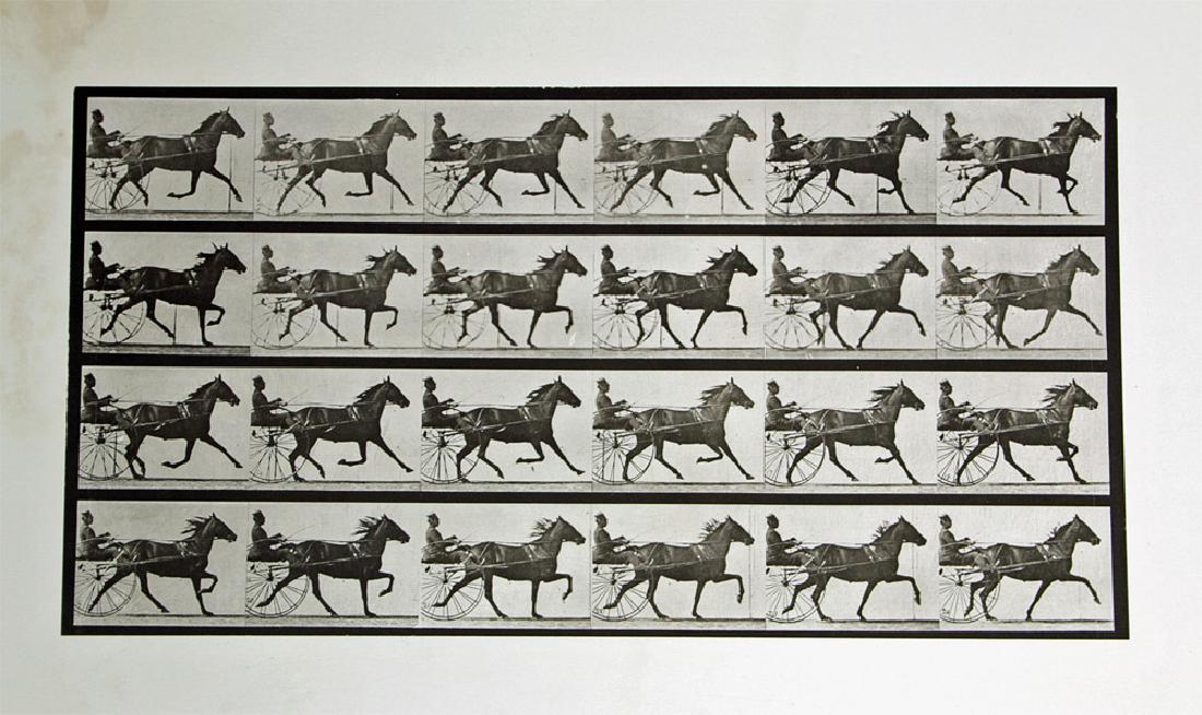Muybridge Collotype "Trotting, Sulky, Katydid" 1887: **Originally Listed At $700** Eadweard Muybridge (American born in England, 1830-1904), "Trotting, Sulky, Katydid" - plate 609 from "Animal Locomotion" series. Philadelphia: University of Pennsylvania