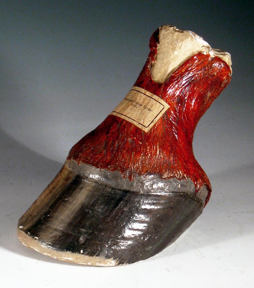 19th C. German Papier-Mache Model of Horse Hoof: 100% of the Hammer price of all lots sold in this auction will be donated to the Walk to End Alzheimer's Disease, the world's largest event to raise awareness and funds for Alzheimer's care, support a