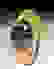item-76049925=2