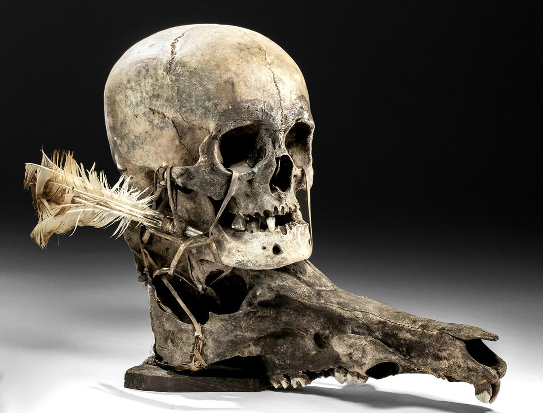 19th C. Ifugao Human Trophy Skull w/ Boar Skull: Southeast Asia, northern Philippines, Ifugao province, ca. 19th century CE. A fascinating artifact from the native people of the island of Ifugao, who prior to contact with the western world - which m