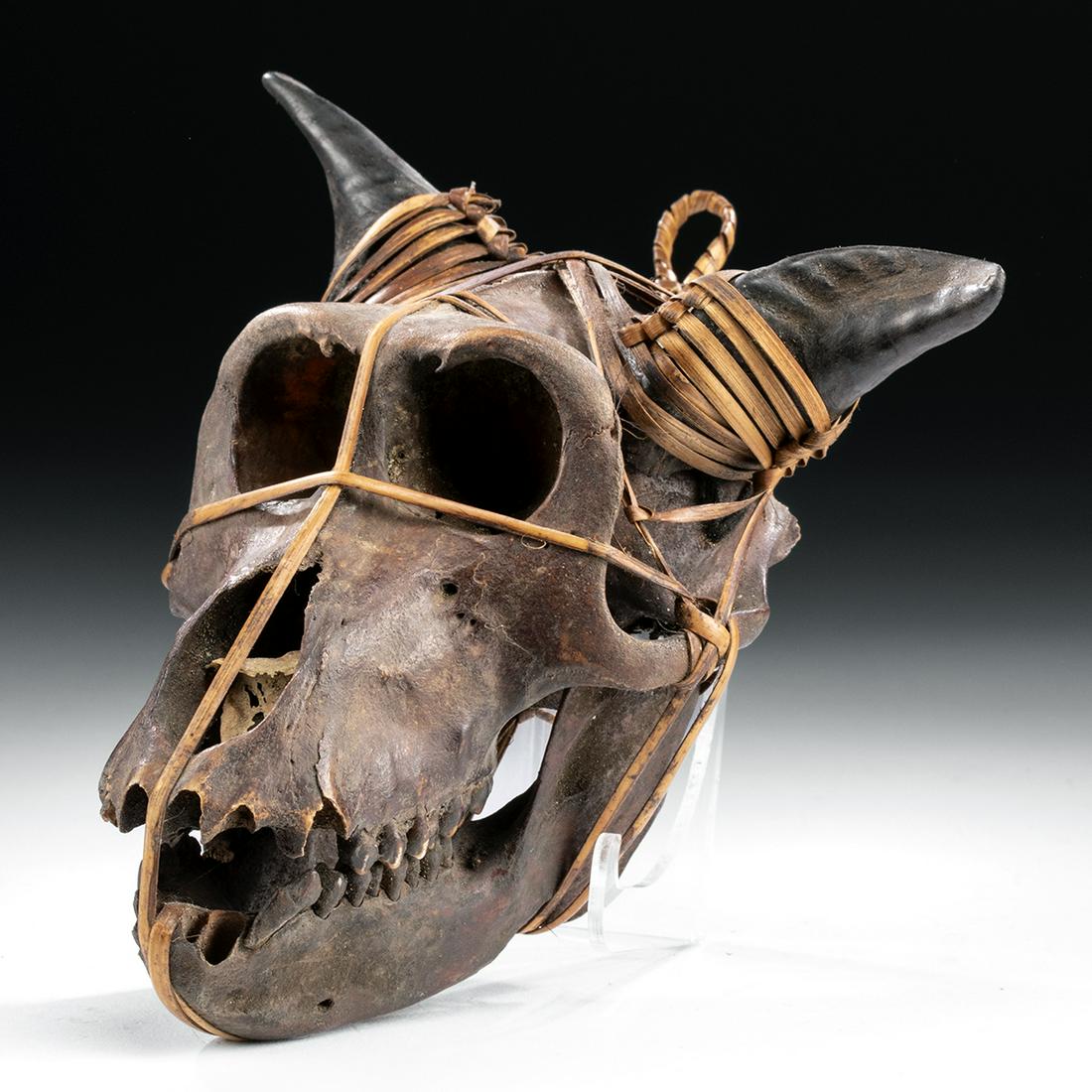 Early 20th C. Naga Monkey Skull Fetish w/ Horns: Central Asia, northeastern India/Burma, Naga people, ca. early 20th century CE. An intriguing fetish formed from a skinned monkey skull that has been dyed a deep russet-red hue. The jaw is secured to