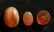 Lot of 3 Roman Carnelian Intaglios - 2