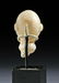 Ancient Bactrian / BMAC Marble Head (from an Idol) - 4