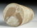 Rare Miniature Bactrian Marble Pillar Idol - 5