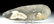 Large / Impressive Maya Basalt Hand Axe