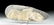 Large / Impressive Maya Basalt Hand Axe - 3