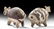 Delightful Pair Chancay Bi-chrome Llama Vessels - 3