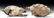 Delightful Pair Chancay Bi-chrome Llama Vessels - 4