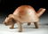 Colima Redware Dog Vessel w/ Turtle Shell - 2
