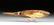 19th C. Inuit Fossilized Walrus Tooth Fishing Weight - 2