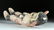 20th C. Hopi Painted Wood Kachina - Walter Howato - 7