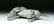 20th C. African Aluminum Sculpture -Standing Wildebeest - 6
