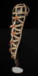 Early 20th C. PNG Woven Fiber / Shell Headdress - 3