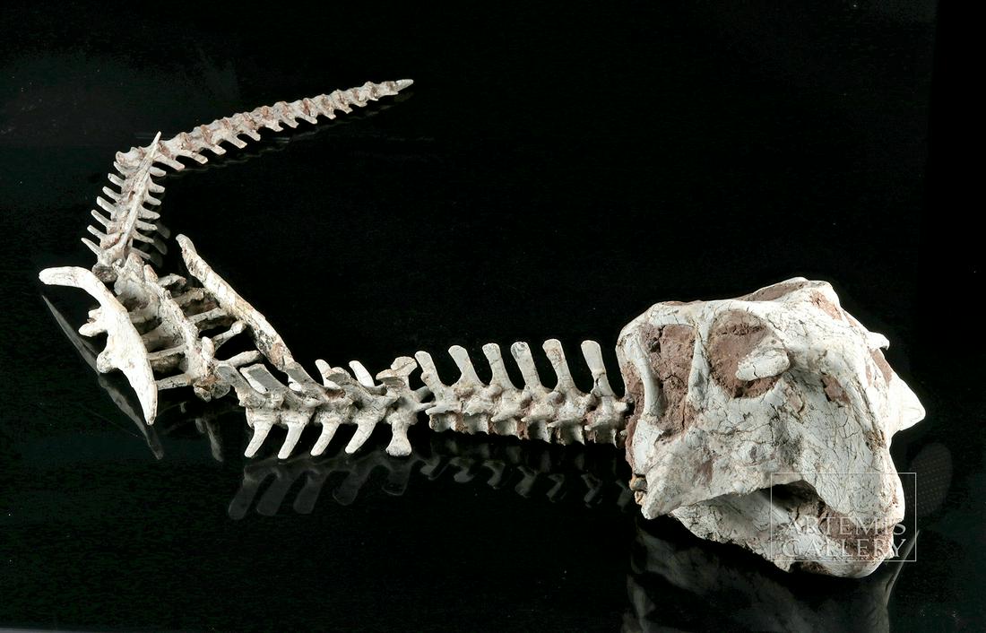 32 Frontier Return Shipping Label - Labels For Your Ideas