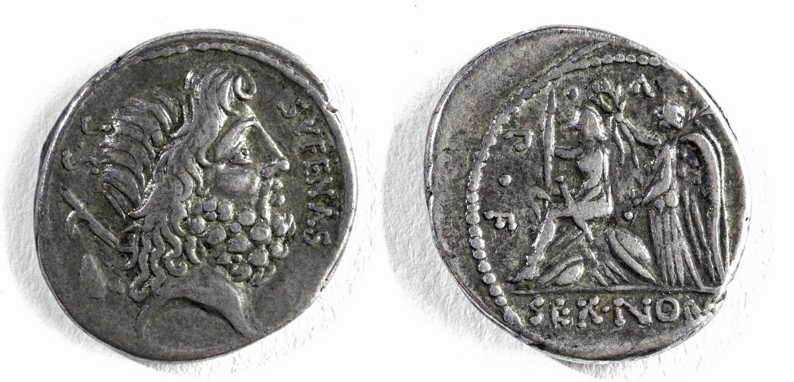 Denarius Coin Denarius Coin