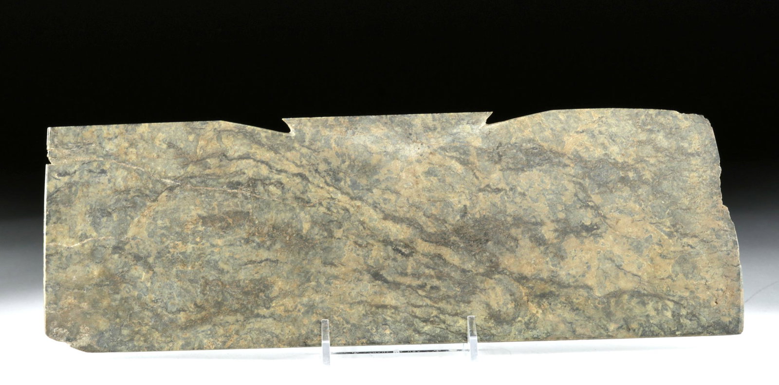 Huge Venezuelan Trujillo Stone Batwing Pectoral (1 of 3)