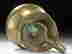 item-82092814=4