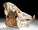 20th C. Indonesian Dayak Carved Boar Skull Openwork - 5