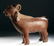 Rare 12th C. Indonesian Majapahit Red-Glazed Goat - 4