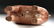 Rare 12th C. Indonesian Majapahit Red-Glazed Goat - 5