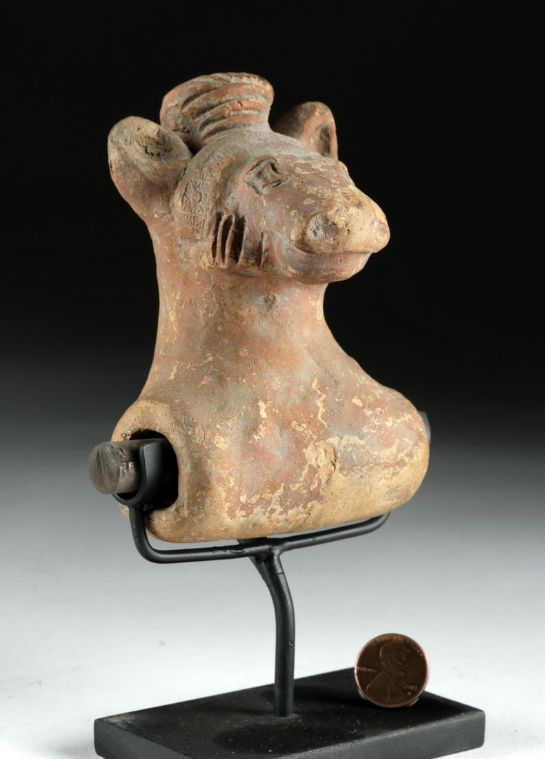 4th C. Indian Gupta Pottery Bull (Nandi) May 27, 2020 Artemis Gallery in CO