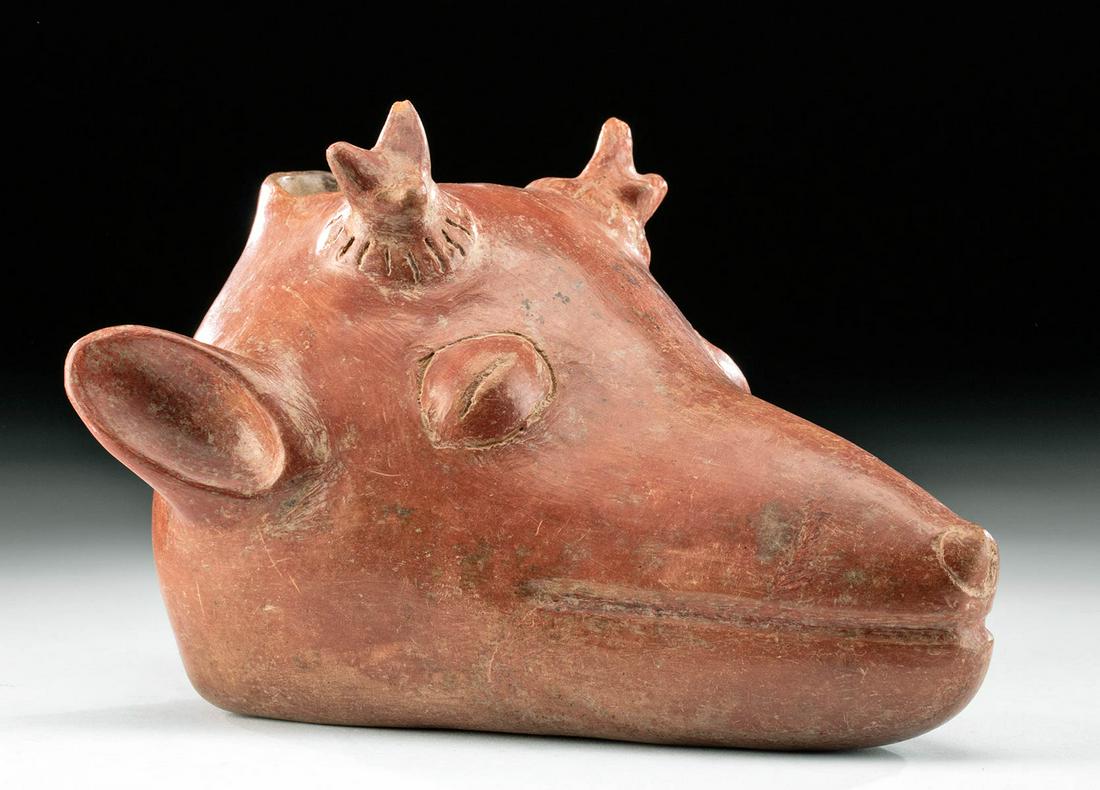 Colima Redware Deer Head Vessel: Pre-Columbian, West Mexico, Colima, ca. 300 BCE to 300 CE. A delightful burnished red ceramic vessel in the form of a deer head, with the animal's eyes and mouth depicted as closed, its ears perked, a