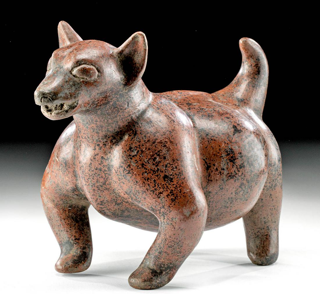 Cute Colima Redware Pottery Dog: Pre-Columbian, West Mexico, Colima, Protoclassic Period, ca. 100 BCE to 250 CE. A very cute example of the classic form. This skillfully hand-built redware canine has a portly abdomen supported by fou