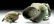 Chinese Shang Dynasty Bronze Lidded Vessel (You) - 6