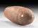 Egyptian Pre-Dynastic Naqada I Redware Vase - 6