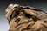 Egyptian Ptolemaic Mummified Falcon - 2
