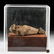 Egyptian Ptolemaic Mummified Falcon - 7