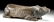 19th C. Philippine Ifugao Wood Stool - Frog