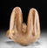 Very Large Chinesco Pottery Kneeling Female Figure - 5
